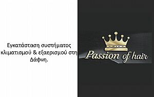 Passion of hair - Δάφνη